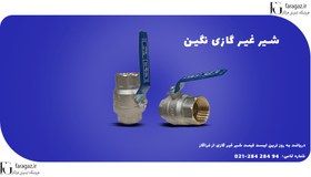 تصویر شیر غیر گازی نگین 
