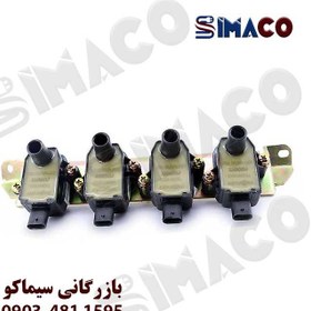 تصویر کوئل شاهین کروز 