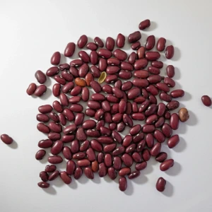 تصویر فروشگاه برنج اکسیر