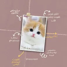 تصویر غذای خشک بچه گربه طعم سالمون و مرغ مونلو (Monello Cat Kitten Dry Food) وزن 15 کیلوگرم 