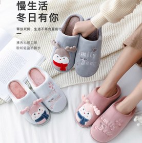 تصویر پاپوش زنانه 