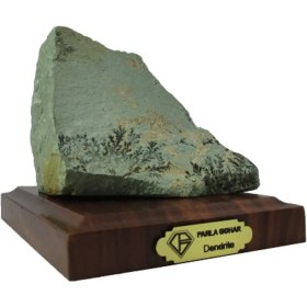 تصویر سنگ شجر فسیلی (دندریتی ) 6428 