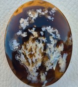 تصویر عقیق شجر بهاره زمینه خرمایی Aghigh bahareh