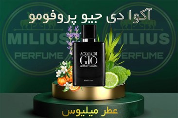 تصویر عطر آکوا دی جیو بلک - 5 میل جیبی / 