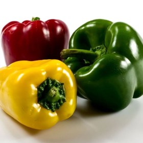 تصویر بذر فلفل دلمه ای 