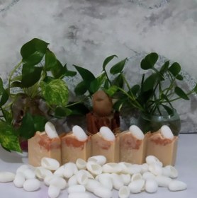 تصویر صابون دست ساز گیاهی پیله ابریشم گلسان Golsan Handmade Herbal Silk Cocoon Soap