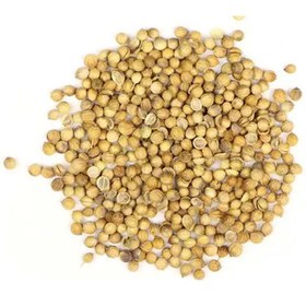 تصویر تخم گشنیز 500 گرم 