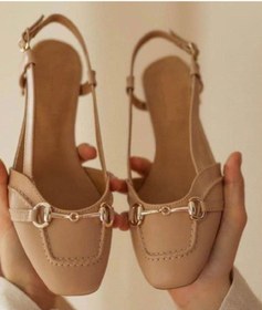 تصویر کالج ساینا 