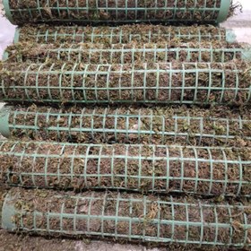 تصویر قیم خزدار 