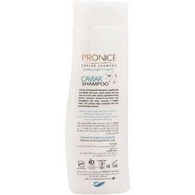 تصویر شامپو ضد شوره خاویار 300 میل پرونایس Pronice Caviar Anti Daddruf Shampoo 300ml