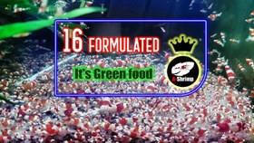 تصویر غذای گرین فود A-shrimp 