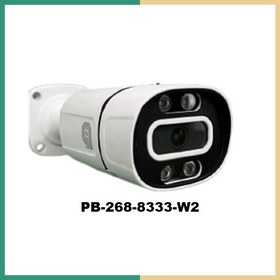 تصویر دوربین مداربسته PNI مدلAHD PNI Warm PD-268-IF-W2 