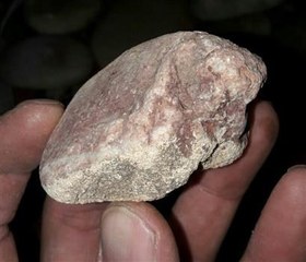 تصویر سنگ فسیل باستانی 