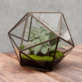 تصویر آبجکت تراریوم 001 