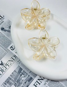 تصویر کلیپس پلومریا - سفید 