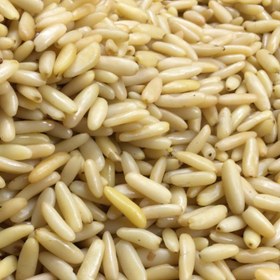 تصویر مغزچلغوز50 گرم( کشیده و درشت) 