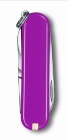 تصویر ابزار چند کاره ویتورینوکس مدل TASTY GRAPE رفرنس 0.6223.52G TASTY GRAPE 0.6223.52G Victorinox product