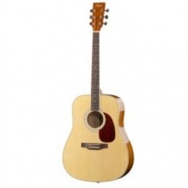 تصویر گیتار آکوستیک هافنر Hofner HAS-D01 آکبند 