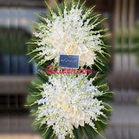 تصویر تاج گل بهشت 