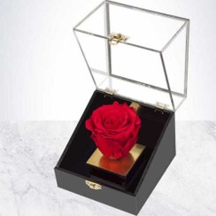 تصویر باکس گل رز جاودان قرمز 