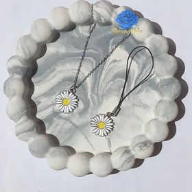 تصویر چارم بابونه 