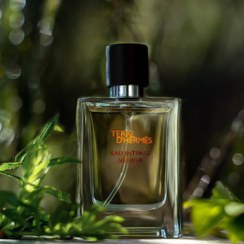 تصویر تق هرمس اينتنس وتيور | برند عطر آروماتیک 