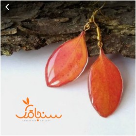 تصویر برگ زرشک زینتی(۱۰ عددی) 