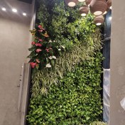 تصویر دیوار سبز ا greenwall greenwall