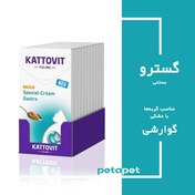 تصویر بستنی گربه کاتوویت مدل گاسترو طعم مرغ (مشکلات گوارشی) Kattovit Cream Gastro Chicken