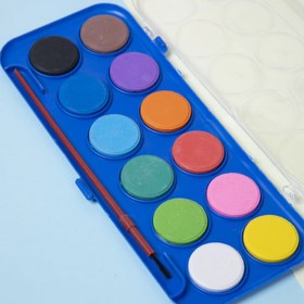 تصویر آبرنگ دامس ۱۲ رنگ 