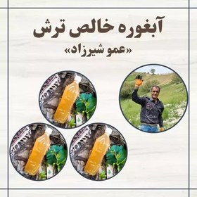 تصویر آبغوره خالص ترش (3 عدد) بدون نمک 