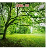 تصویر آسمان مجازی کد 154 – طرح جنگل سبز و آرامش‌بخش برای سقف کاذب 