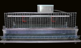 تصویر قفس کبک تخمگذار 1 طبقه صادراتی 