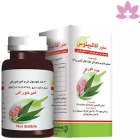 تصویر کپسول اکالیپتوس باریج 