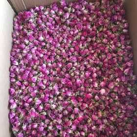 تصویر غنچه گل محمدی خشک خالص 