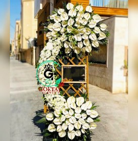 تصویر تاج گل گیتی 