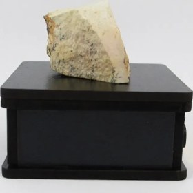 تصویر سنگ شجر فسیلی (دندریتی ) کد 2337 