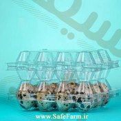 تصویر ظرف ۱۲ عددی تخم بلدرچین 