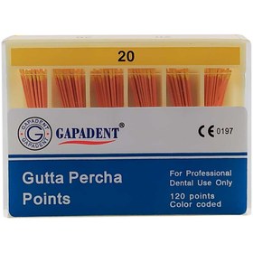 تصویر کن گوتا پرکا Gapa Dent Gapa Dent Gutta Percha Points