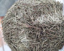 تصویر رزماری - بسته ۱۰ تومانی / آسیاب شده Rosemary