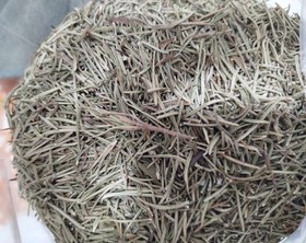 تصویر رزماری - ۱۰۰ گرم / آسیاب شده Rosemary