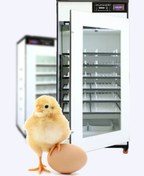 تصویر دستگاه جوجه کشی هدایت با یک سال ضمانت (پس کرایه) - ۴۲ عددی 