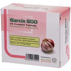 تصویر قرص گارسین 500 میلی گرم گل دارو 30 عددی ا GARCIN 500 Tab GARCIN 500 Tab