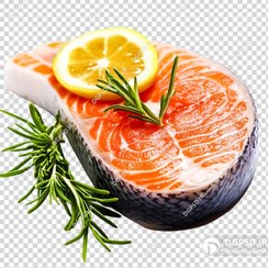 تصویر عکس فیله ماهی سالمون بدون زمینه 