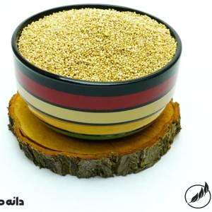 تصویر فروشگاه سالم فودز