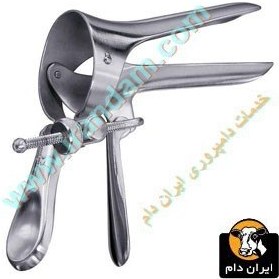 تصویر اسپکلوم اسب 