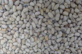 تصویر سویا نمکی 