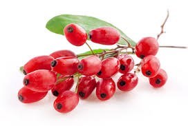 تصویر زرشک Barberry