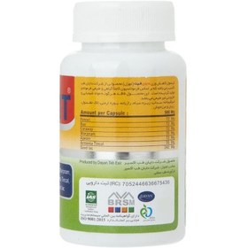 تصویر قرص لاغری دایان فیت 90 عددی دایان فارما Dayan Pharma Dayan Fit Caps