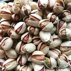 تصویر پسته کله قوچی ا Nuts Nuts